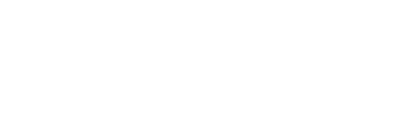 Invisible en la Red